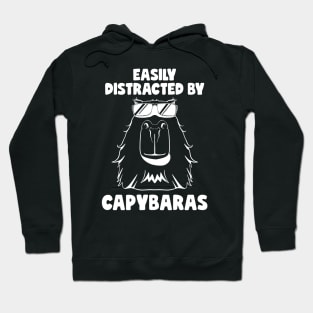 Easily distracted By Capybaras Lover Rodent Cute Capybara Hoodie